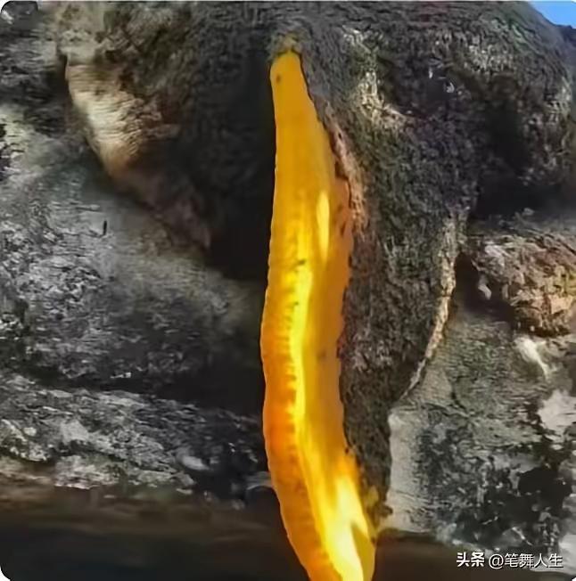江西48岁男子上山拍照，休息时看见石缝流出金黄色液体，走近一看当场愣住。
 
阳
