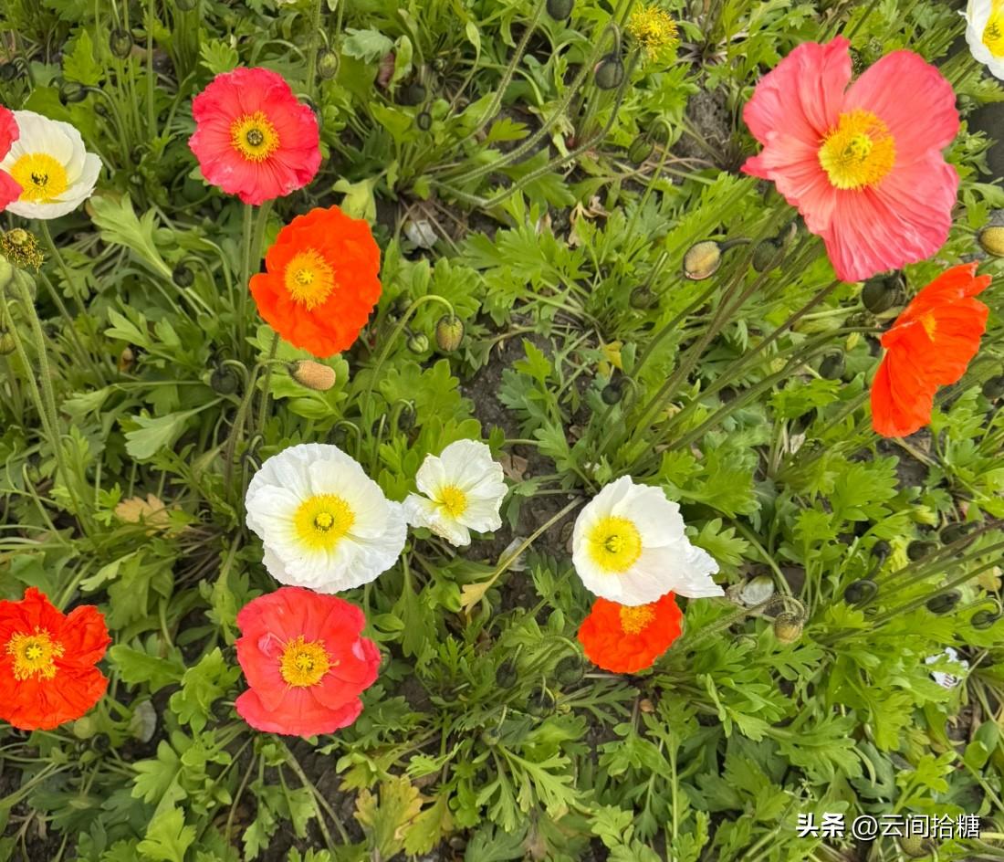 心理学上说：如果一个人逼出你体内所有的恶，激发你的怒和怨，让你抛开多年的教养，甚