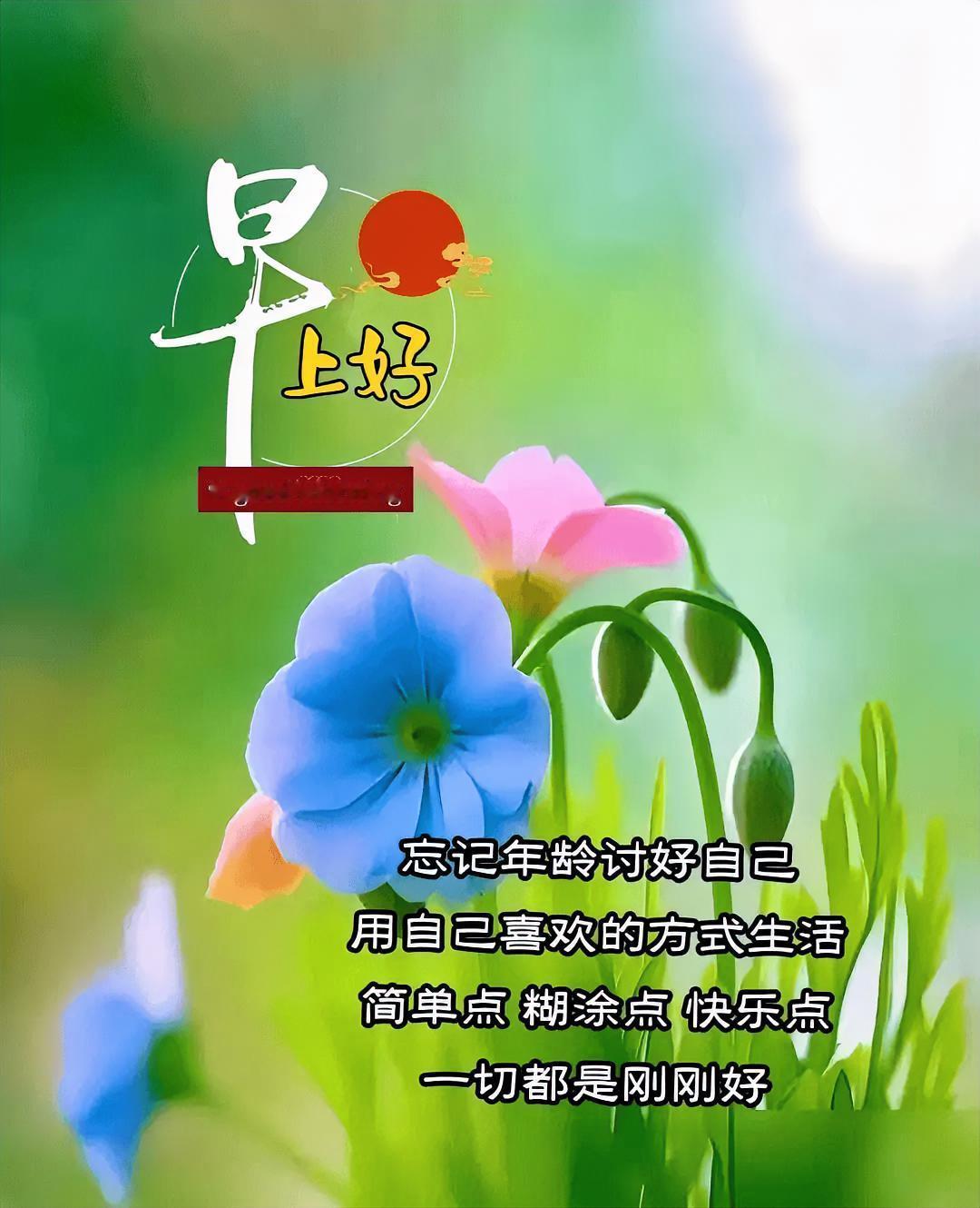 早上好！活得简单些、糊涂点，以喜欢的方式生活，恰似这花儿，一切都刚刚好。
今日打