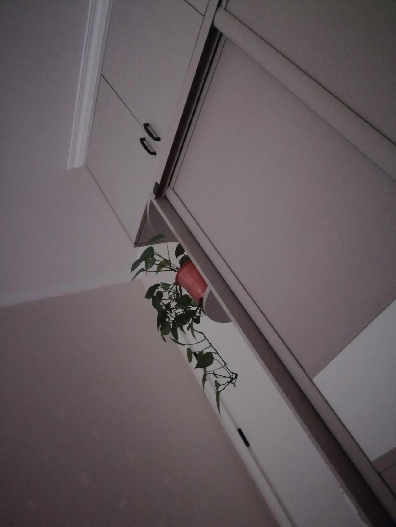 人还是得多吃点肉好，朋友们！咱可得明白呀，人要是想身体倍儿棒，每天都精神抖擞、浑