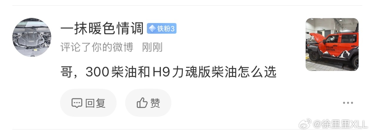 柴油300和柴油H9怎么选？我给不了参考意见啊。这俩车很多人都会对比。动力总成完