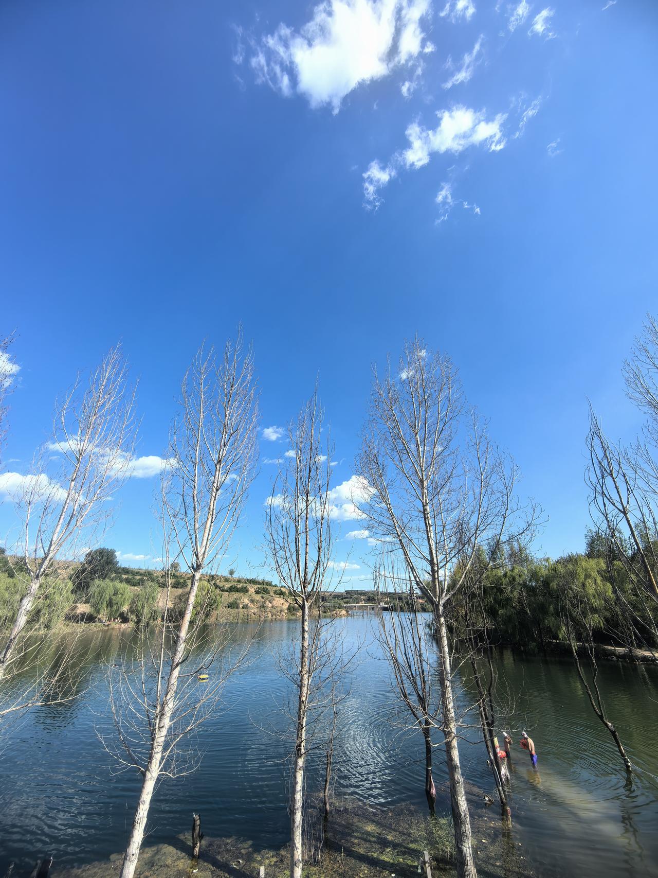 阳光明媚，湖边风景美如画。