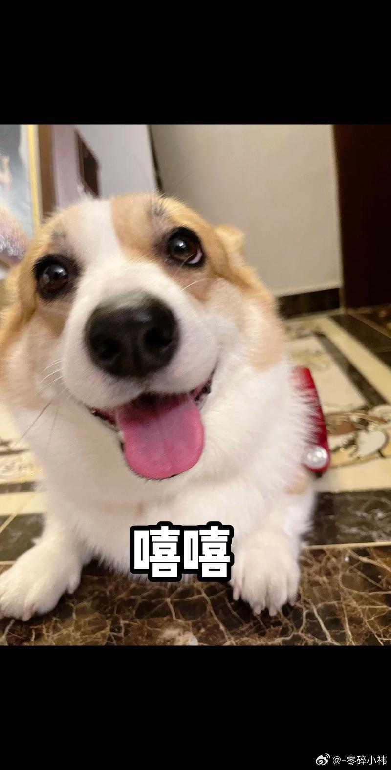 当职场能力强到一定程度后 很多优秀员工升不上去，是因为眼里容不下团队低效，习惯性