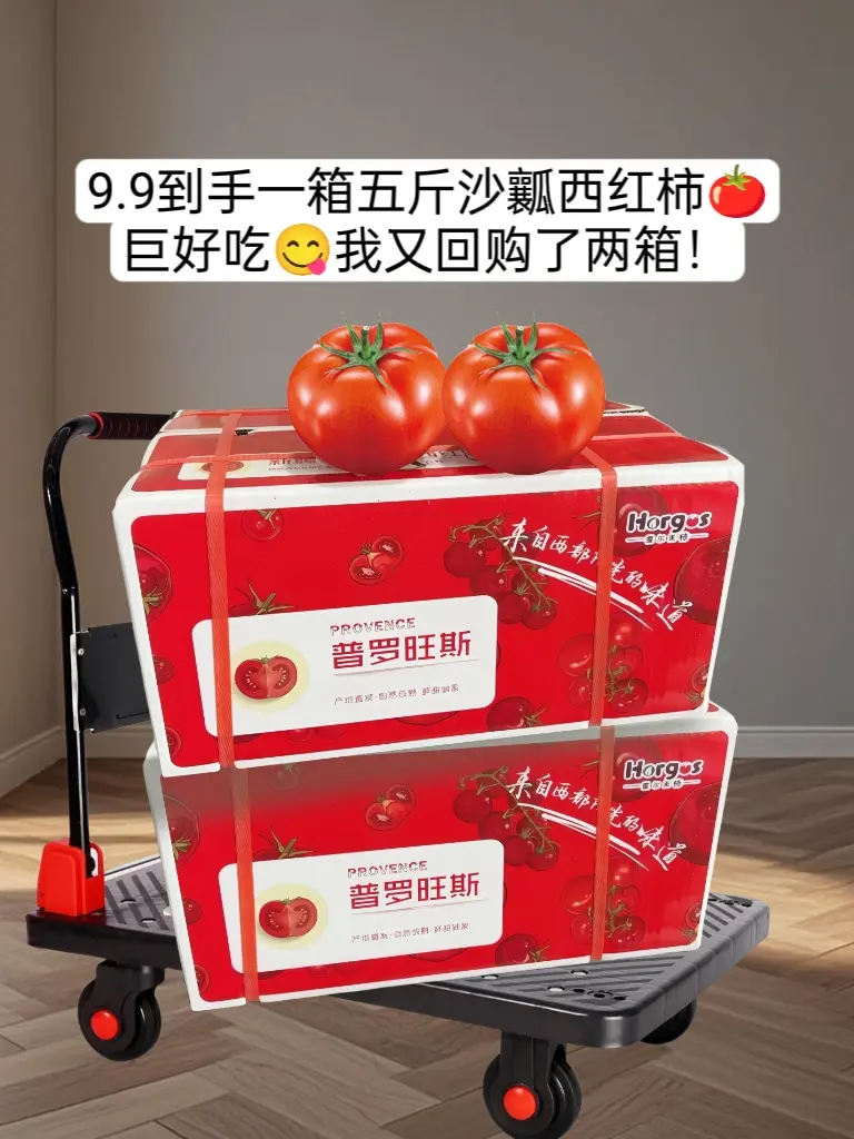 姐妹们挖到宝了！这个价到手一箱五斤沙瓤西红柿，巨划算！真的巨巨巨沙！沙...