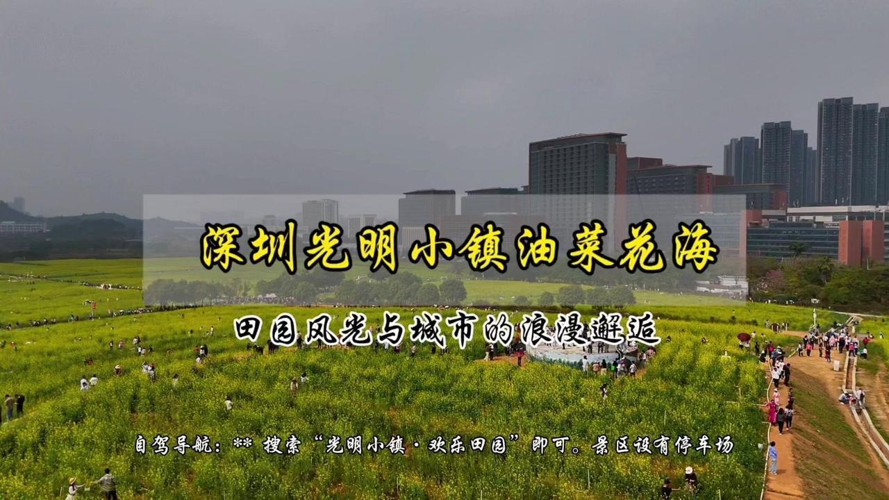 🗺️自驾导航：搜索“光明小镇·欢乐田园”。

🌼景区设有停车场，深圳光明小镇