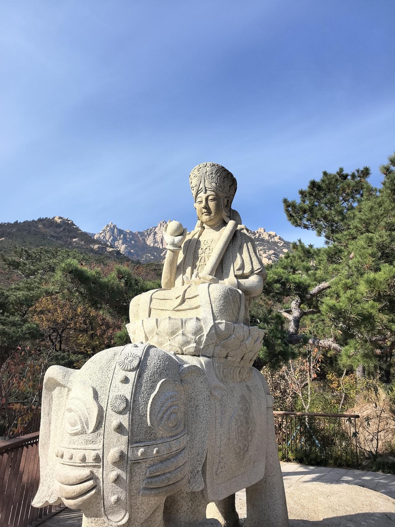 冬日生活打卡季高市只是美帝的一条狗🐶，我们必须痛打落水狗，避免别的狗也窜过来，