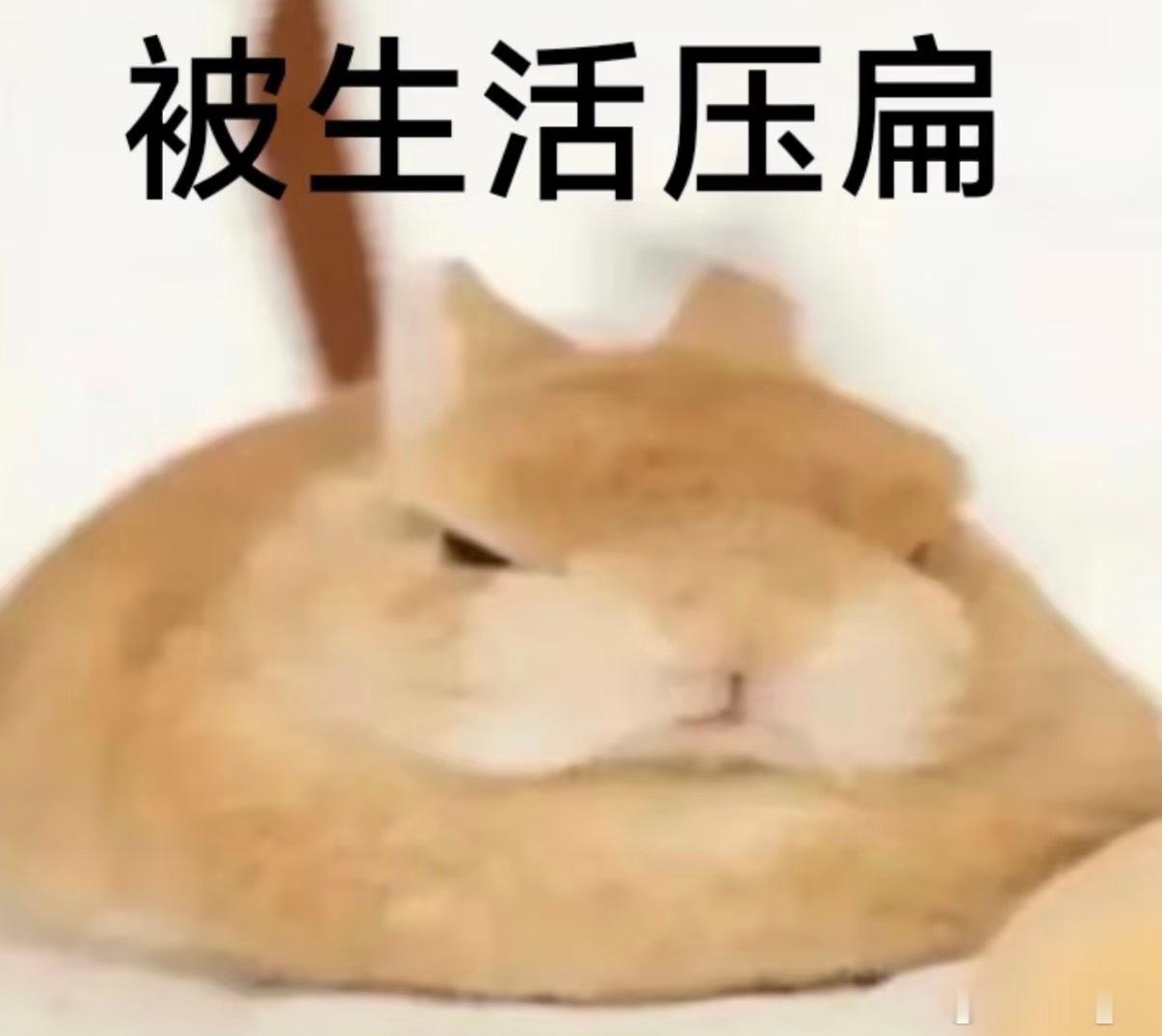 被生活压扁 
