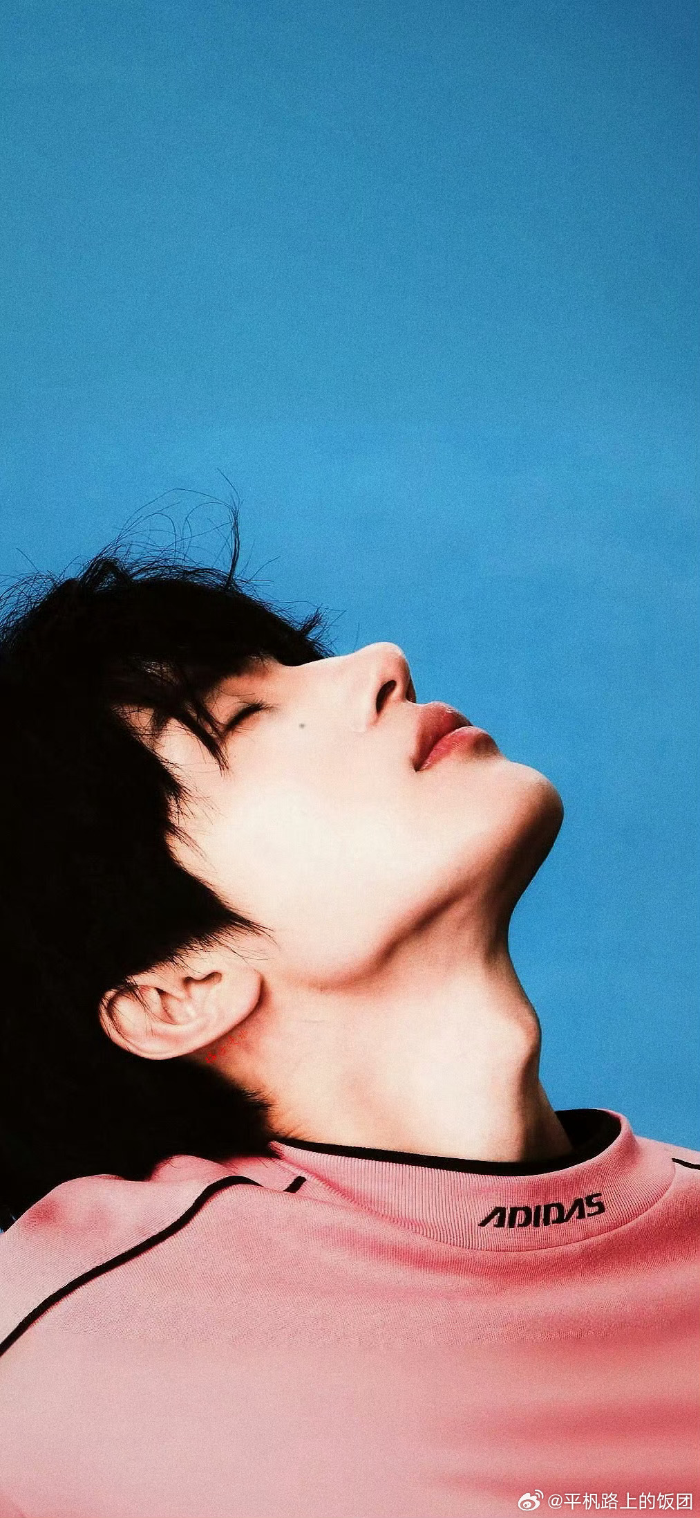 已爱上张翅我的新壁纸 