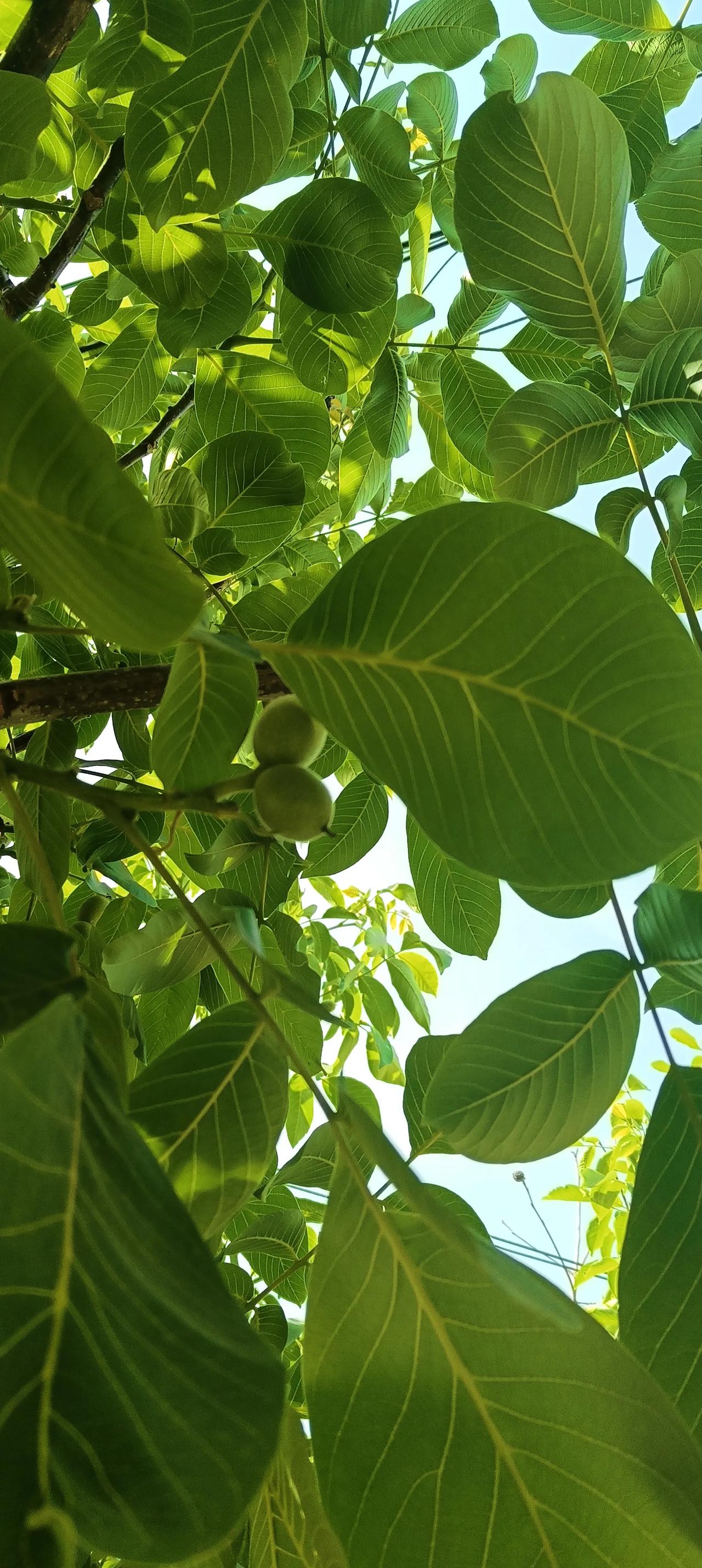 最现实的十句话，适合任何人！
第一句钱不是万能的，但没有钱是万万不行的。没有钱，