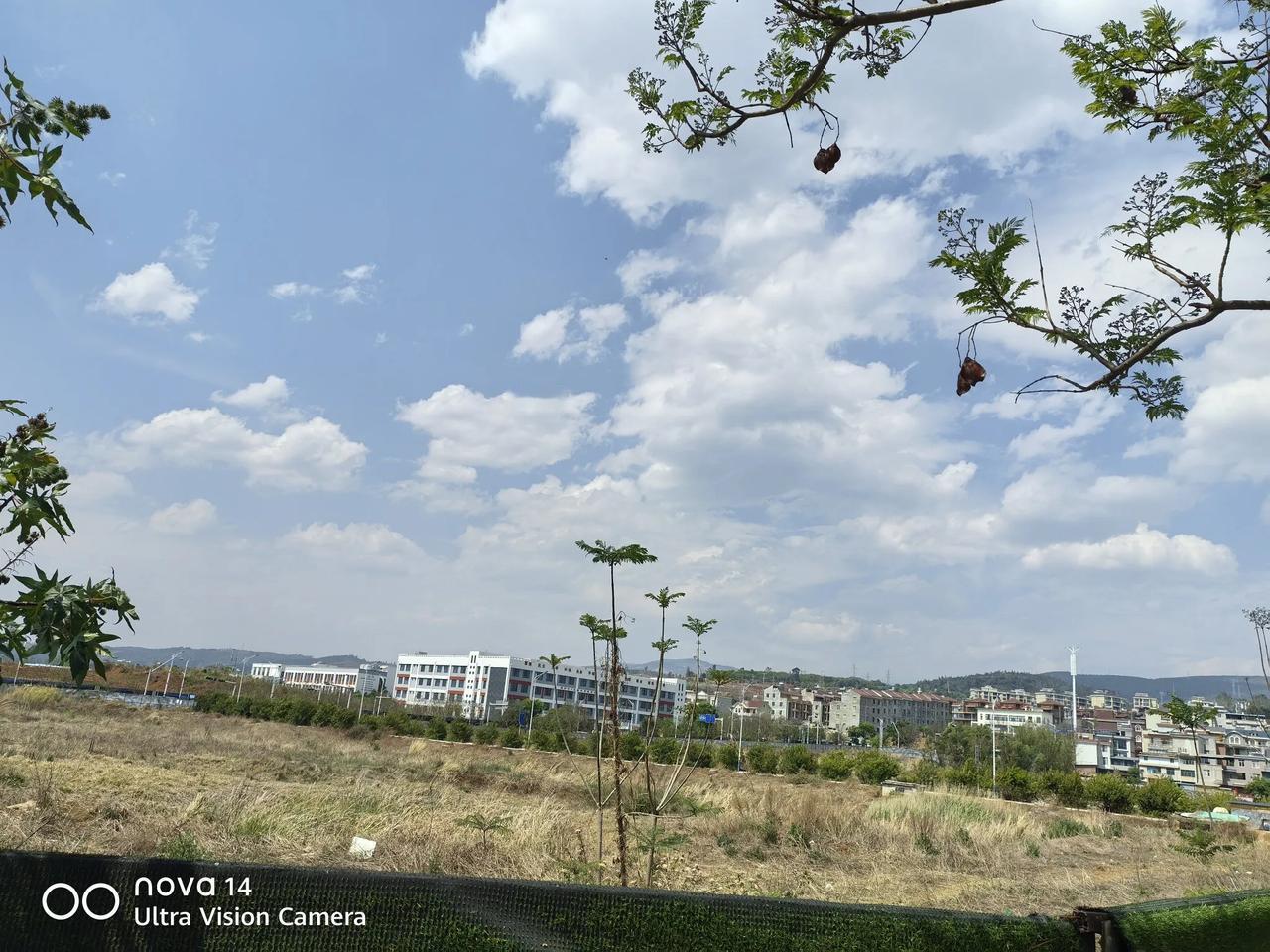 在云南看云卷云舒，最舒服就是找一处远离马路，有草有树的山坡，草皮上，听得到鸟叫，