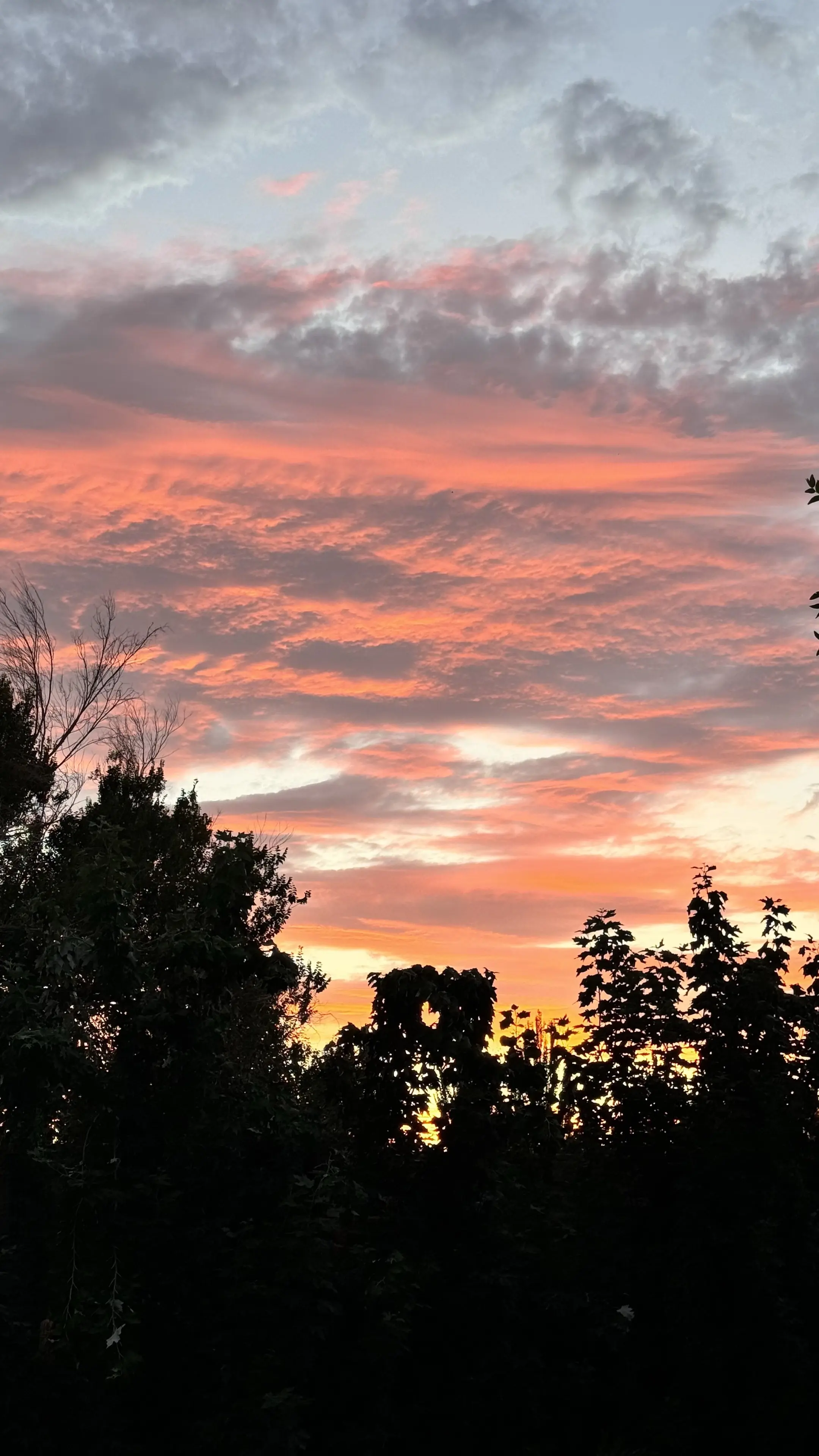 8.4号敦煌鸣沙山月牙泉世纪晚霞 你太专注于未来，却没有意识到，今天正...