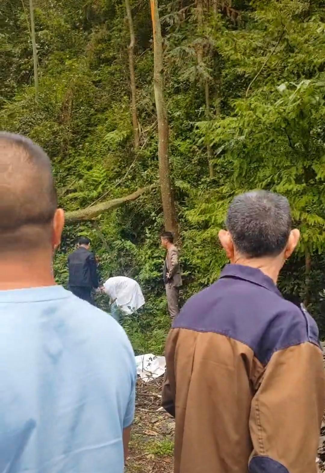 #村民摘马蜂窝被树砸中身亡#【湖南一村民摘马蜂窝不幸被树砸中身亡 知情人：树断了