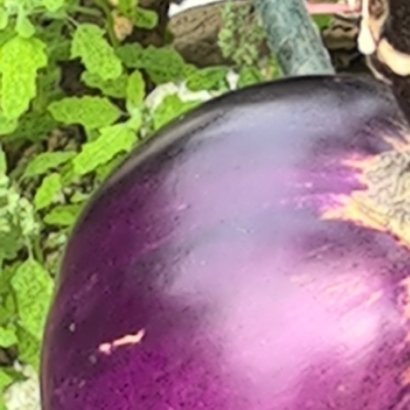 1800一缕晨光柔和舒适，一份祝福快乐陪伴，一声问候送去关怀，一个微笑开心祝愿，