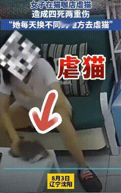 辽宁沈阳，女子进入猫咖包房后，竟将猫咪按压在椅子上狠狠暴打，还扯着猫咪的身体往反