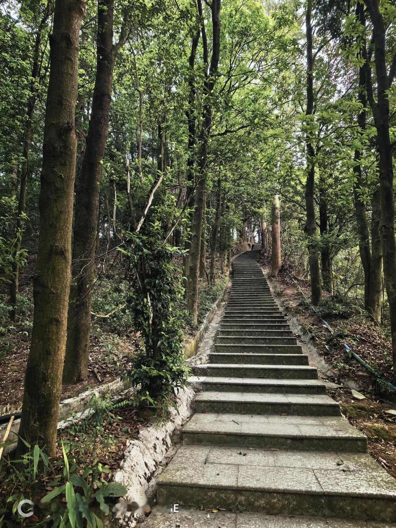 退休后，我是不是心态不好？抑郁或者厌倦期？眼里没光了，做事懒散了，对什么都提不起