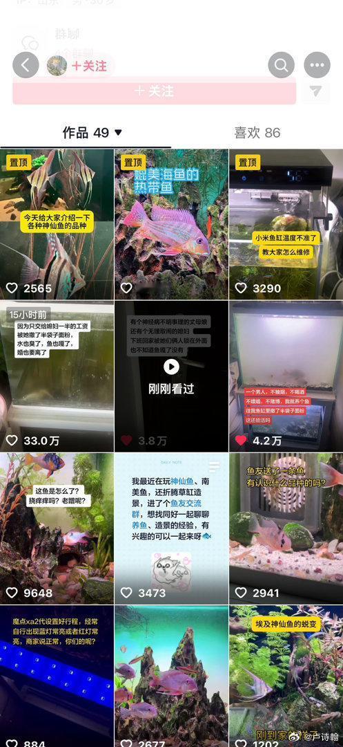 鱼儿说得对，男主是可以反抗的……

要不，还是离了吧，要不然，下次给你饭碗里撒点