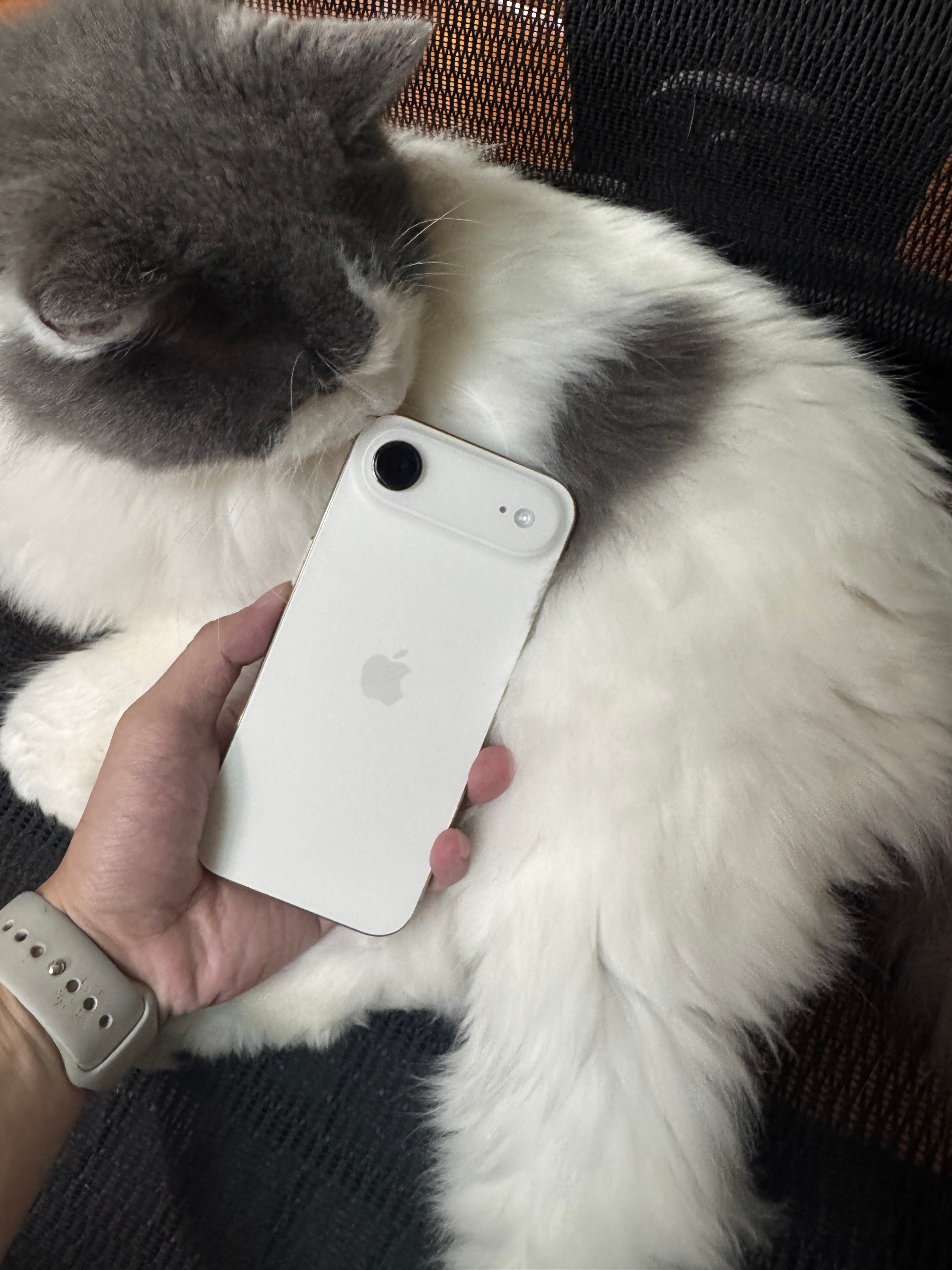 Pro成了功能备用机，Air成了社交app主力机，Air那握在掌心的感觉太妙了～