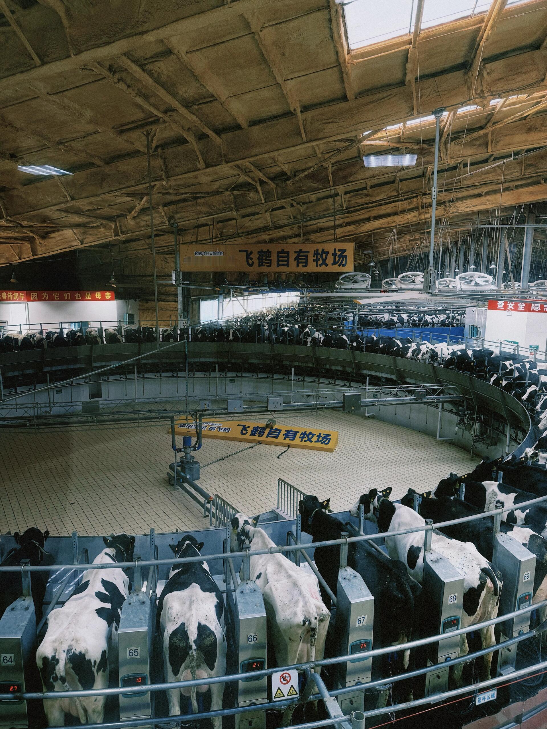 更适合中国宝宝的含金量还在上升 以前总迷信进口奶粉罐上印外文才安心，现在懂了：中