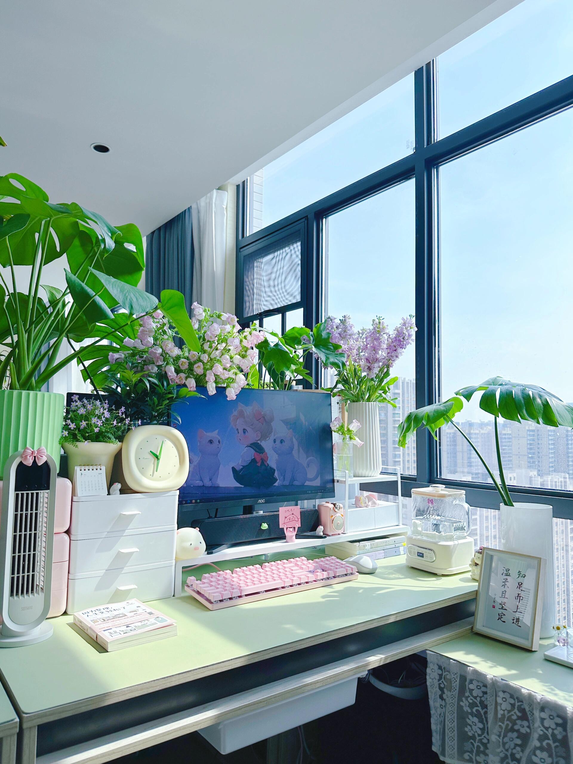 工作不一定要有仪式感，但工位一定要有仪式感[送花花][送花花]#被同事养的巨型花