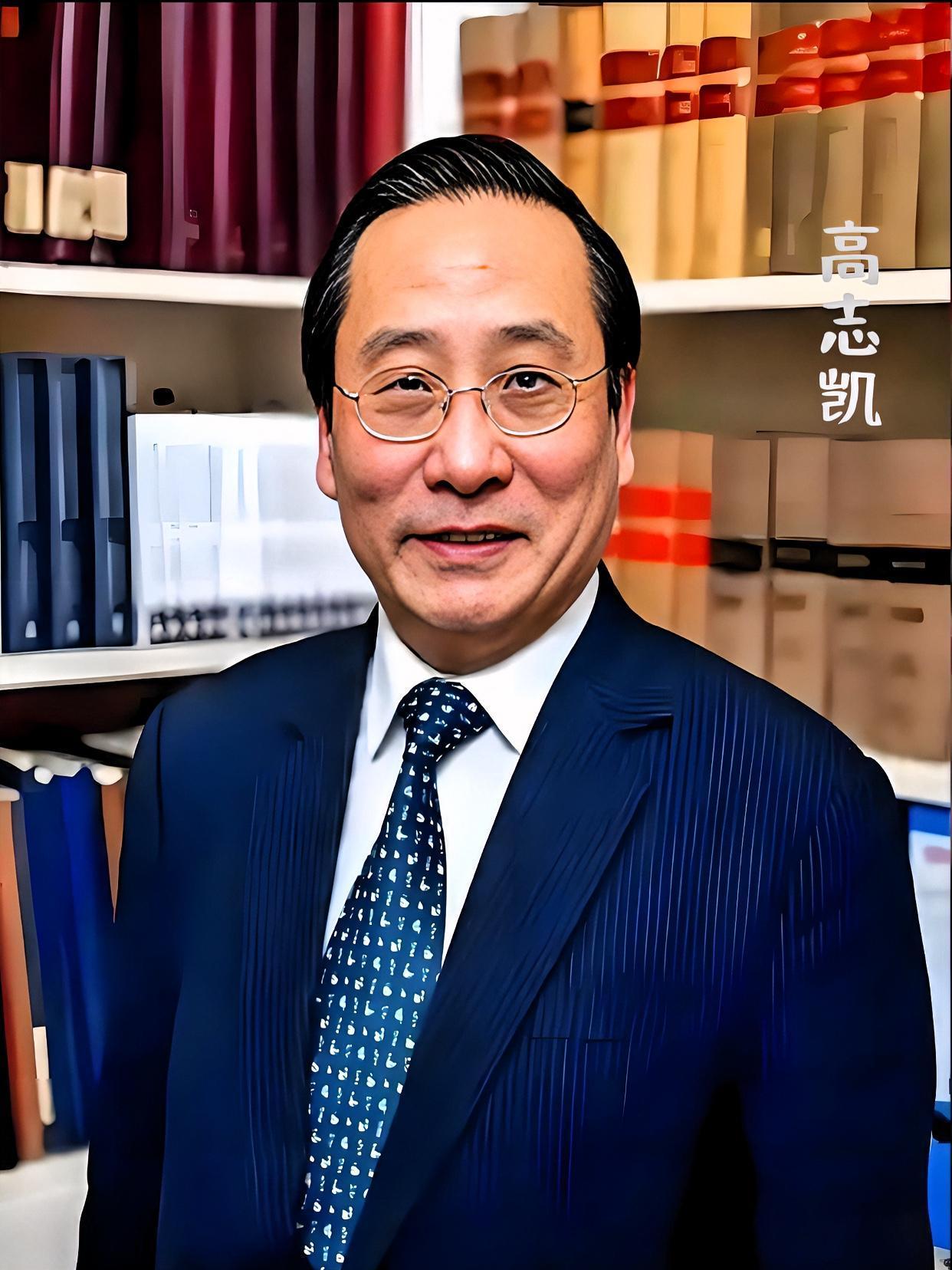 讲真，这事给我整破防了！
高志凯这种级别的大佬，国际论坛上舌战群儒，结果竟是自掏