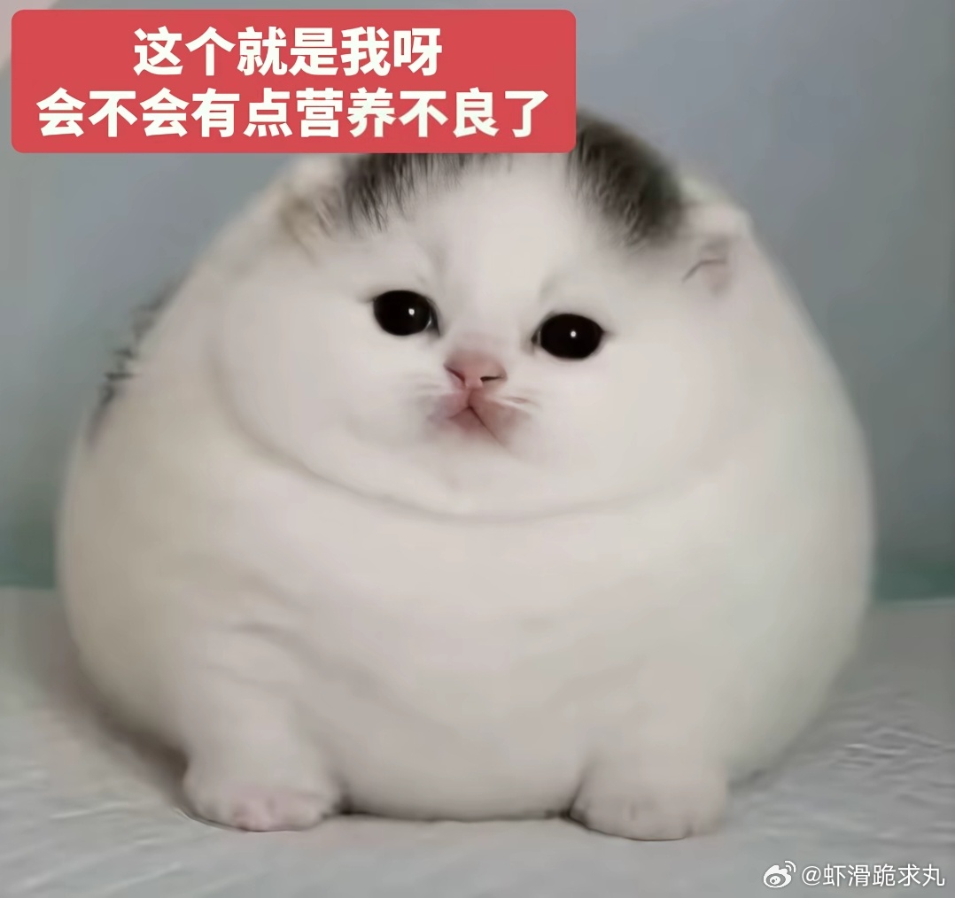 这个就是我呀  会不会有点营养不良啦 