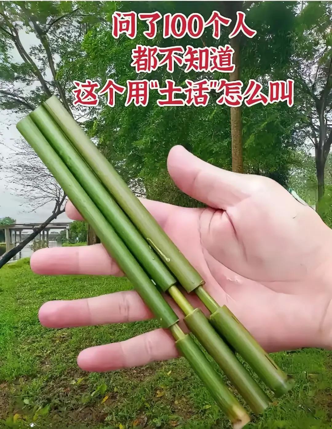 小时候自制的玩具。
谁能用方言叫出它的名字？
