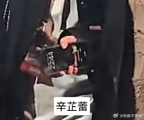 辛芷蕾 多邻国这次那只可恶的绿色鹦鹉可是能蹭上影后了多儿在娱乐圈好红啊！！好羡慕