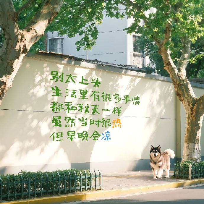 “情绪顺了 事就小了 ，心态稳了 运就来了 ”   