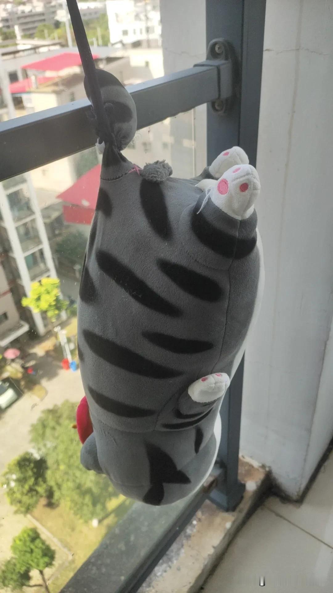 把吾皇万睡给洗了。
脱水也脱了。
怎么能快一点晾干呢？
刚开始想把它倒挂金钩，后