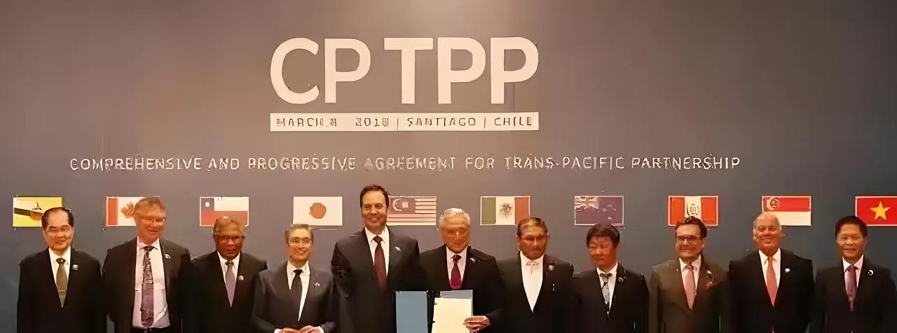 印度方面突然宣布了，正评估谋求加入CPTPP的可能性。
​​动力很直接：就是把出