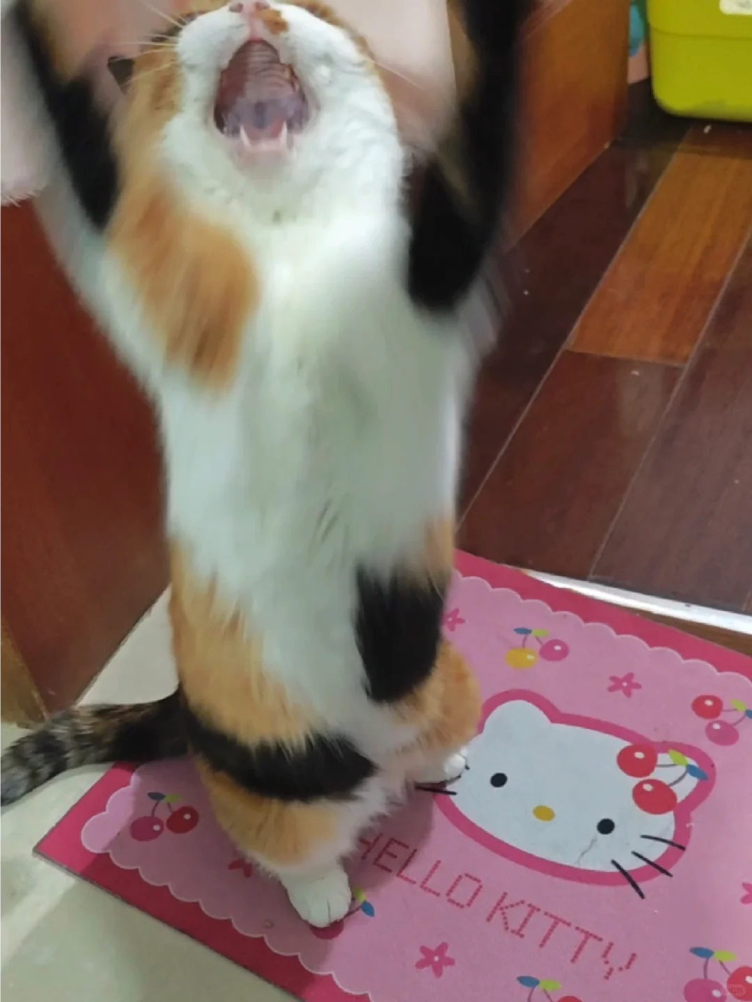 power!!!