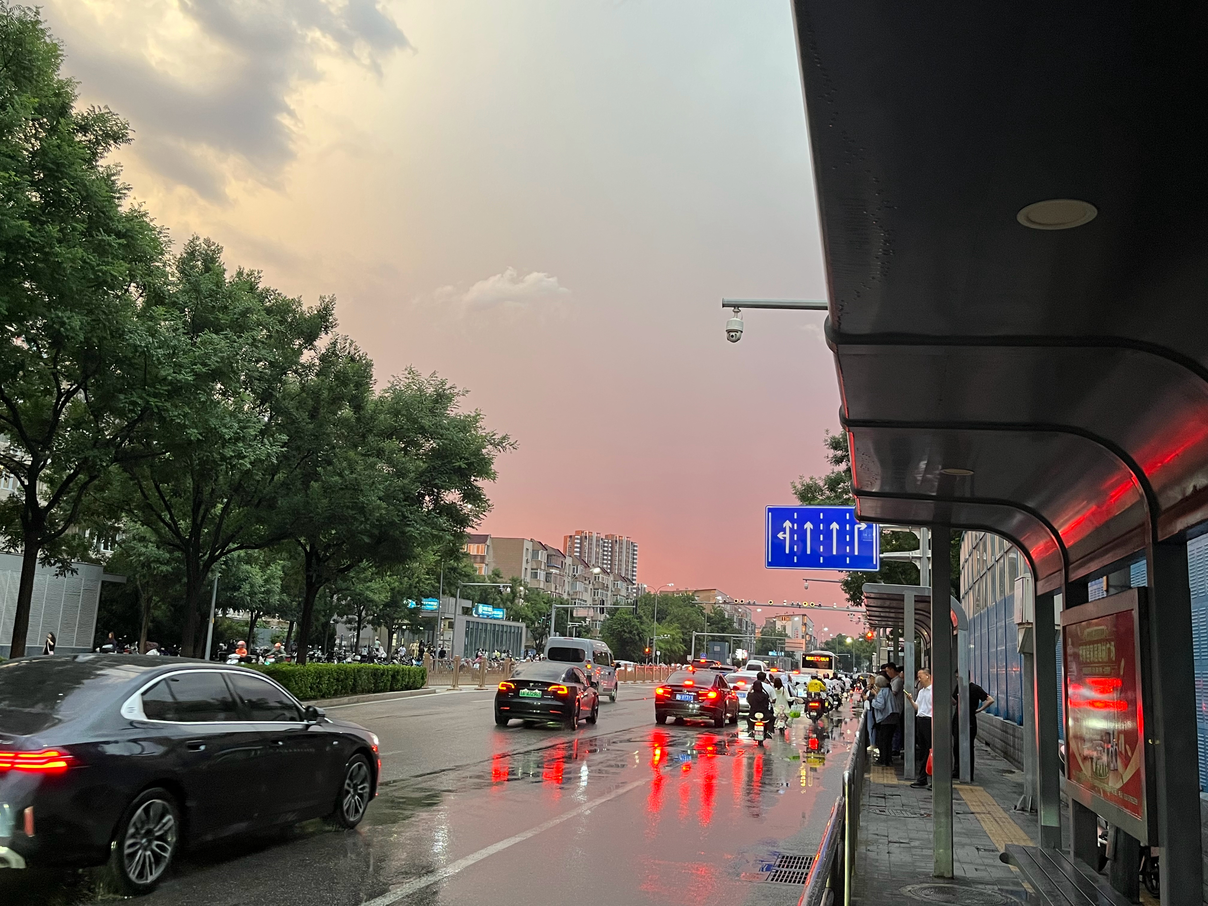 随拍～雨后～生活手记 北京·北京物资学院