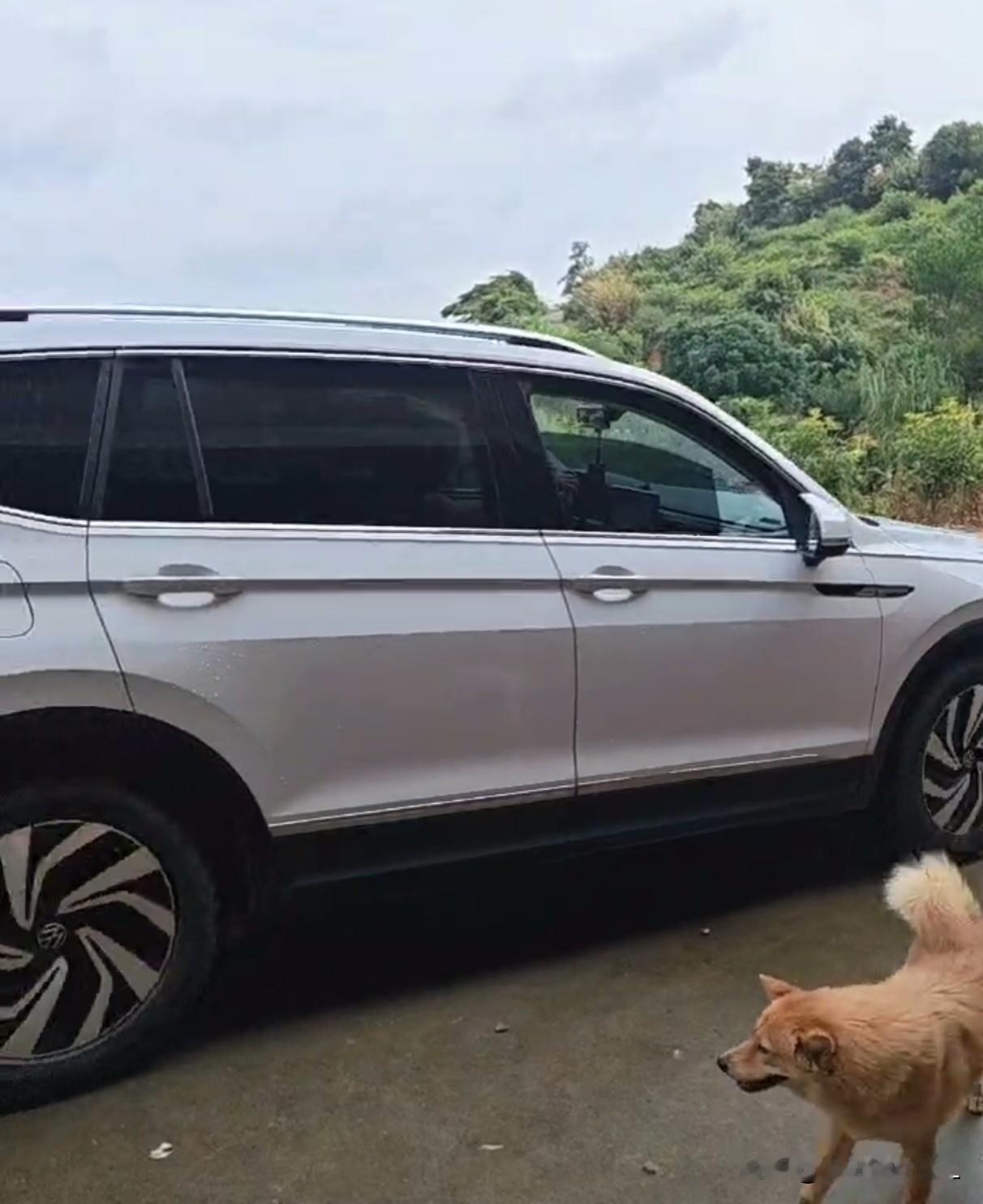“狗狗与SUV的日常：一起探索未知的旅程”🐾🚙