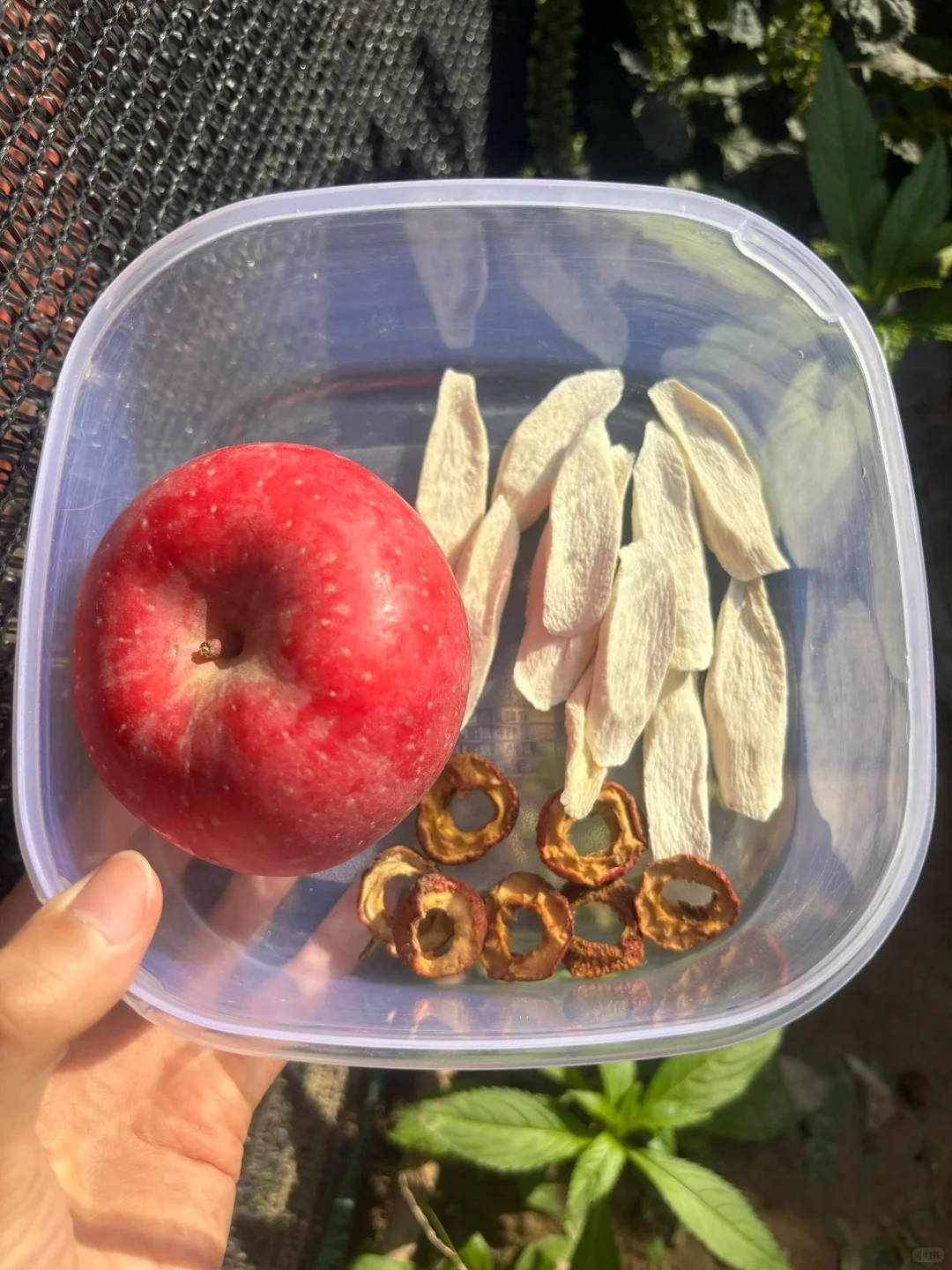 入秋👶🏻每周3次苹果山药煮水，真的🈶️用！