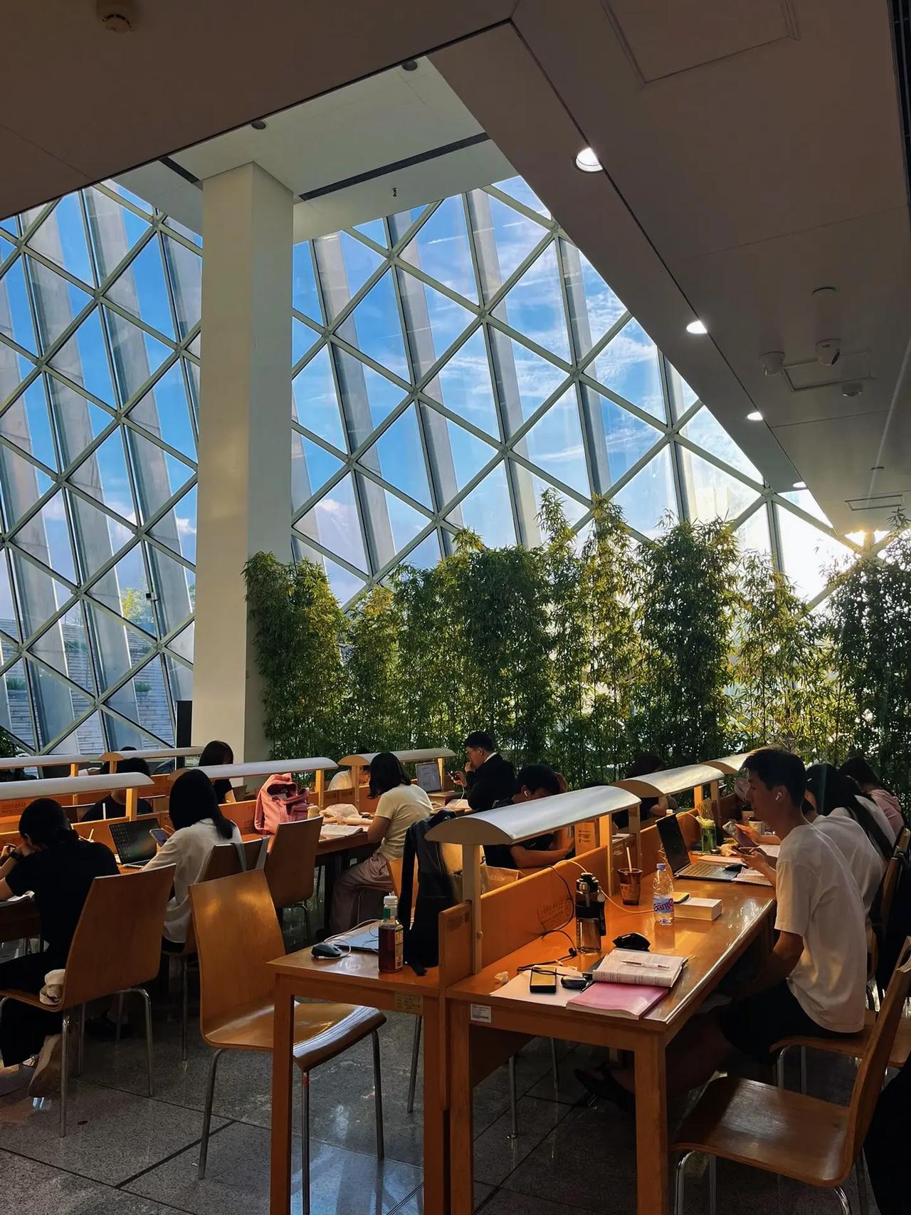 🌇霞光下的阅读人📖 傍晚6点左右的深圳图书馆落日的霞光通过玻璃照进馆内一群热