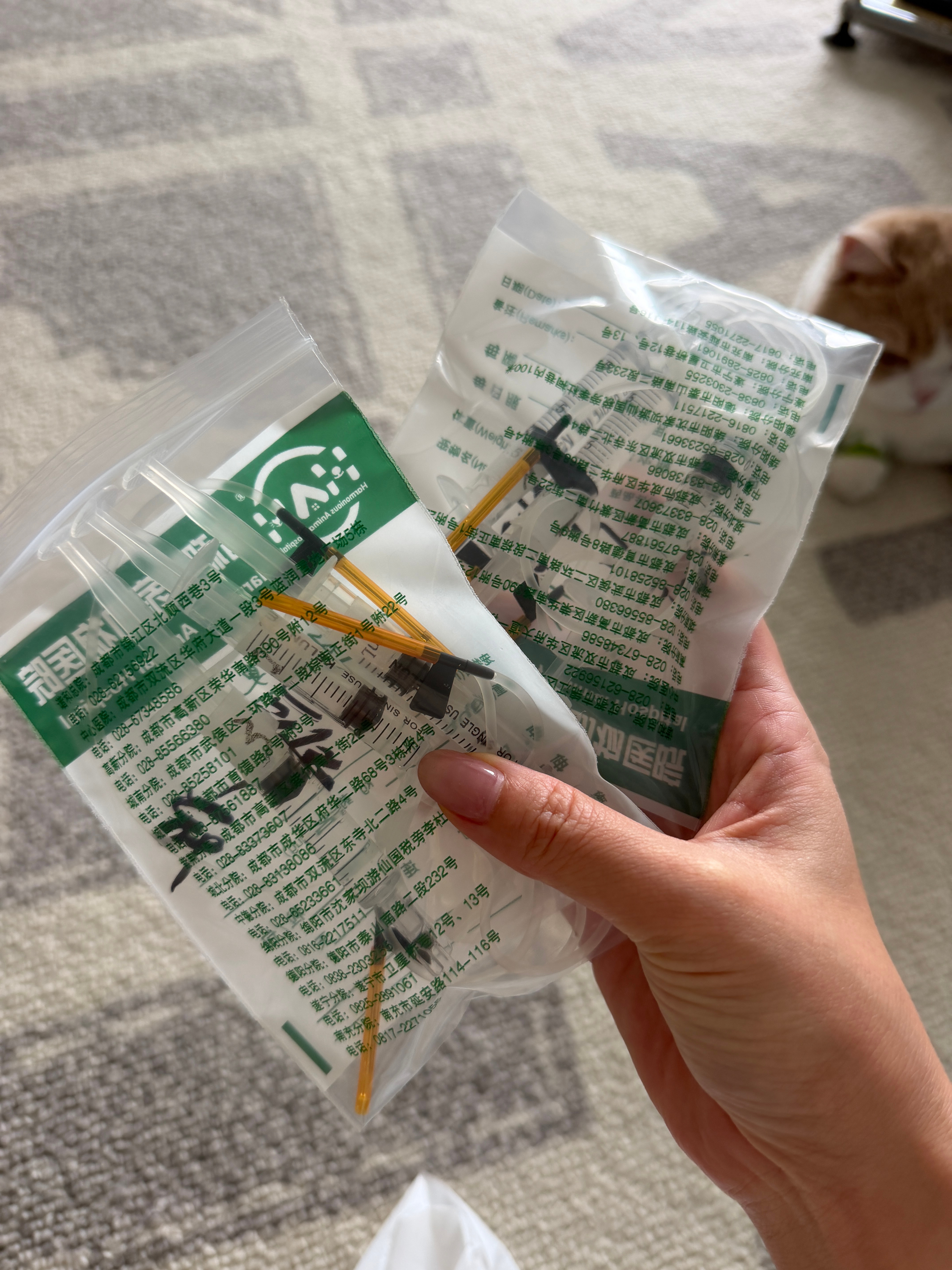 很久没更新了，一是因为工作忙，二是因为糕宝的心脏病血栓又复发了。上上周六，它几乎