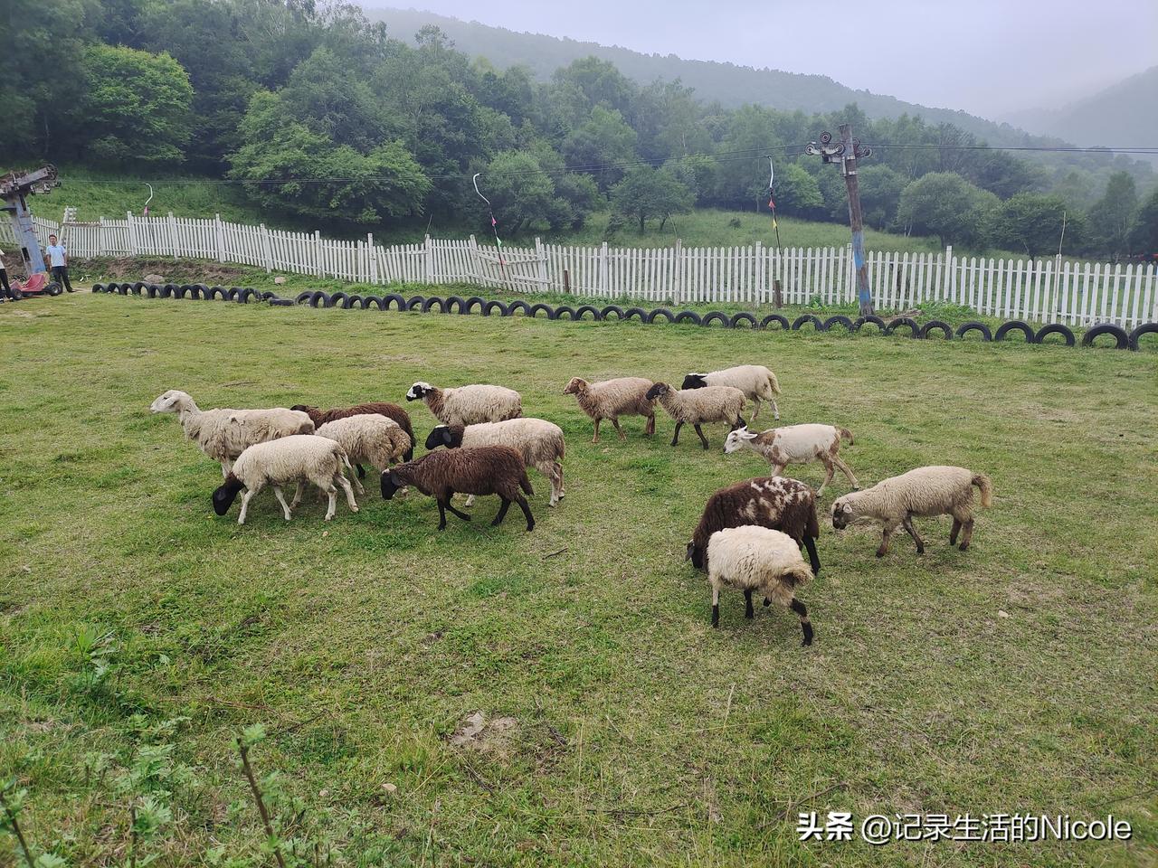 分享城市新鲜事下雨的日子城市随拍