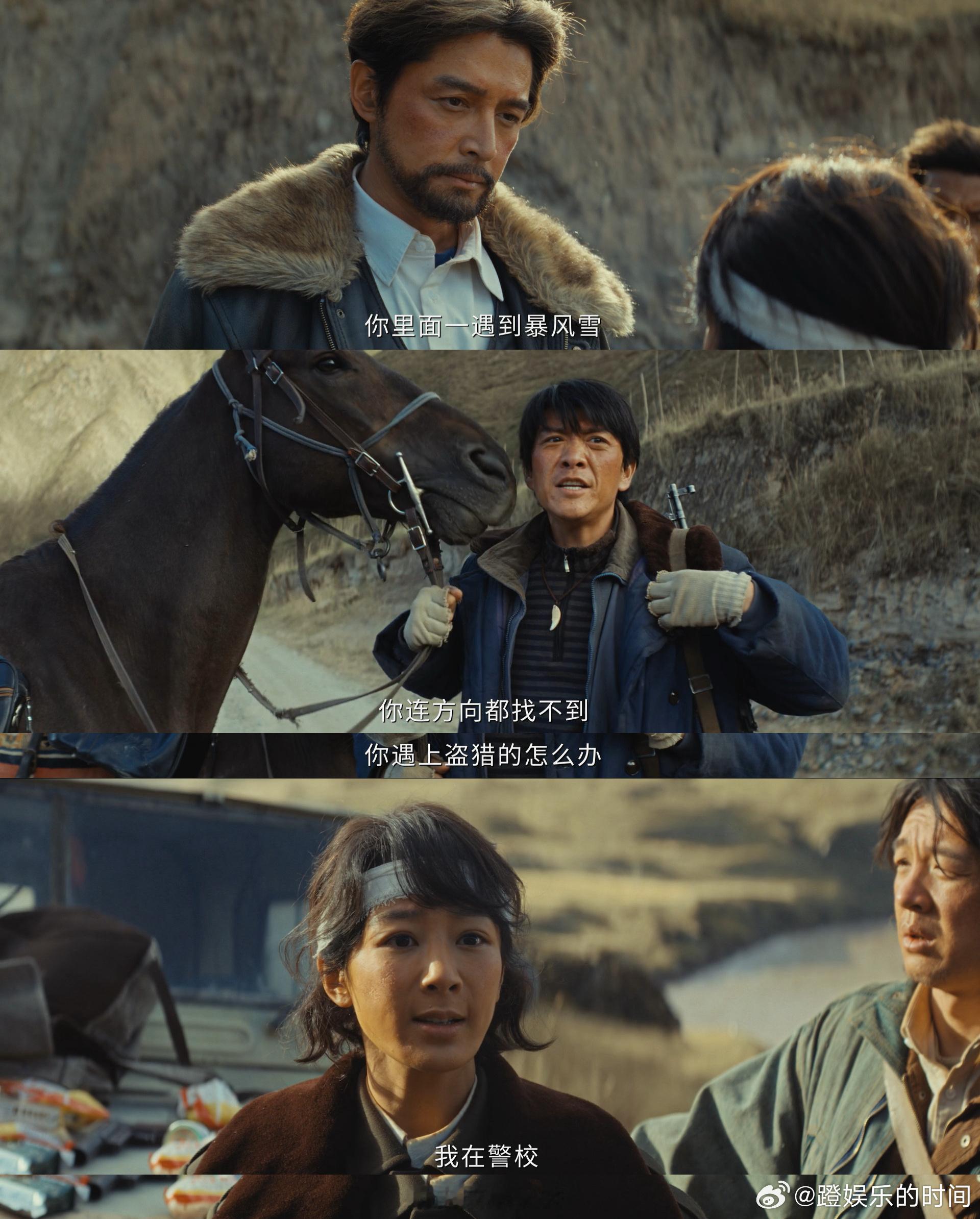 生命树一群易燃物但很好哄电视剧生命树 电视剧生命树巡山队反差萌封神！易燃易炸气场