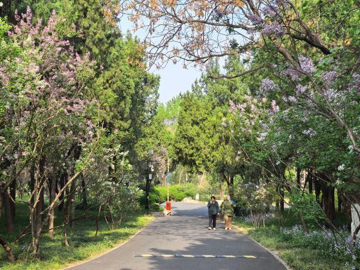 清明时节，春风拂槛，济南千佛山景区悄然披上了一袭斑斓春装。花开正好，不负春光，邀