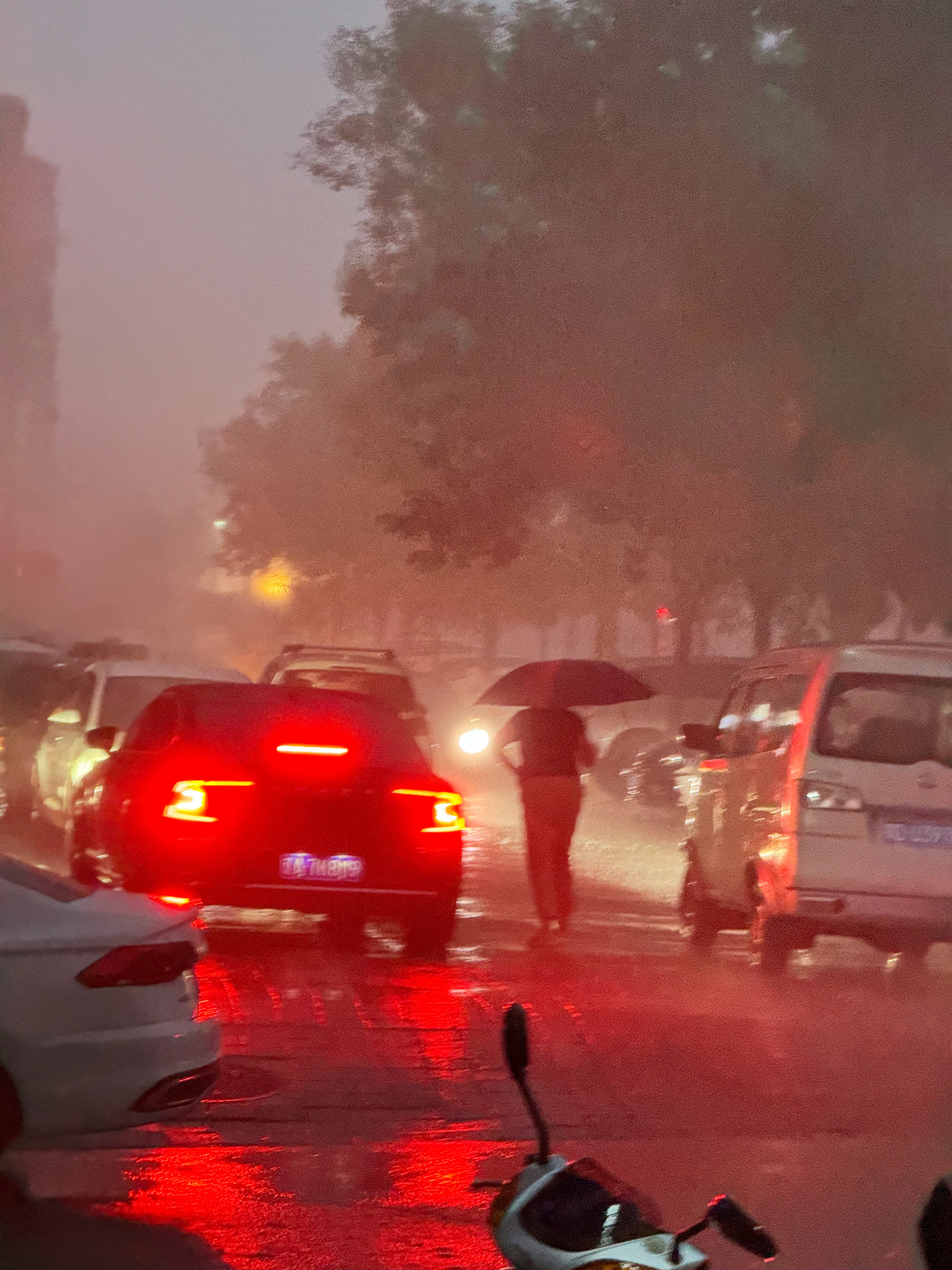 大暴雨来了，小区里最深的地方过半米了[二哈]  ​​​
