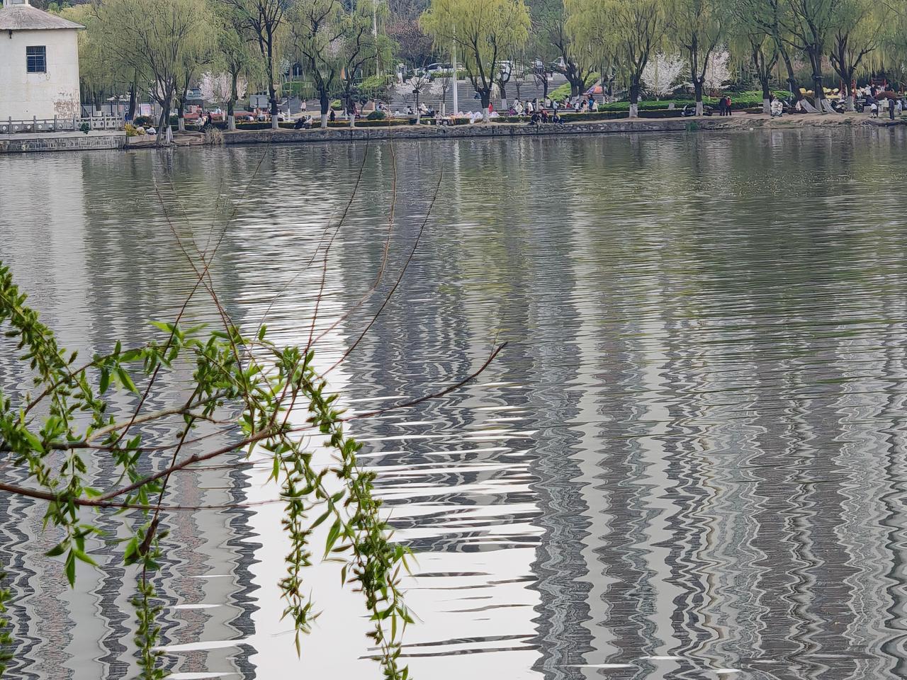 我觉得这几张“沂蒙新春绿”的照片很有发奖的潜质！沂蒙的新春，那绿色仿佛是大自然刚