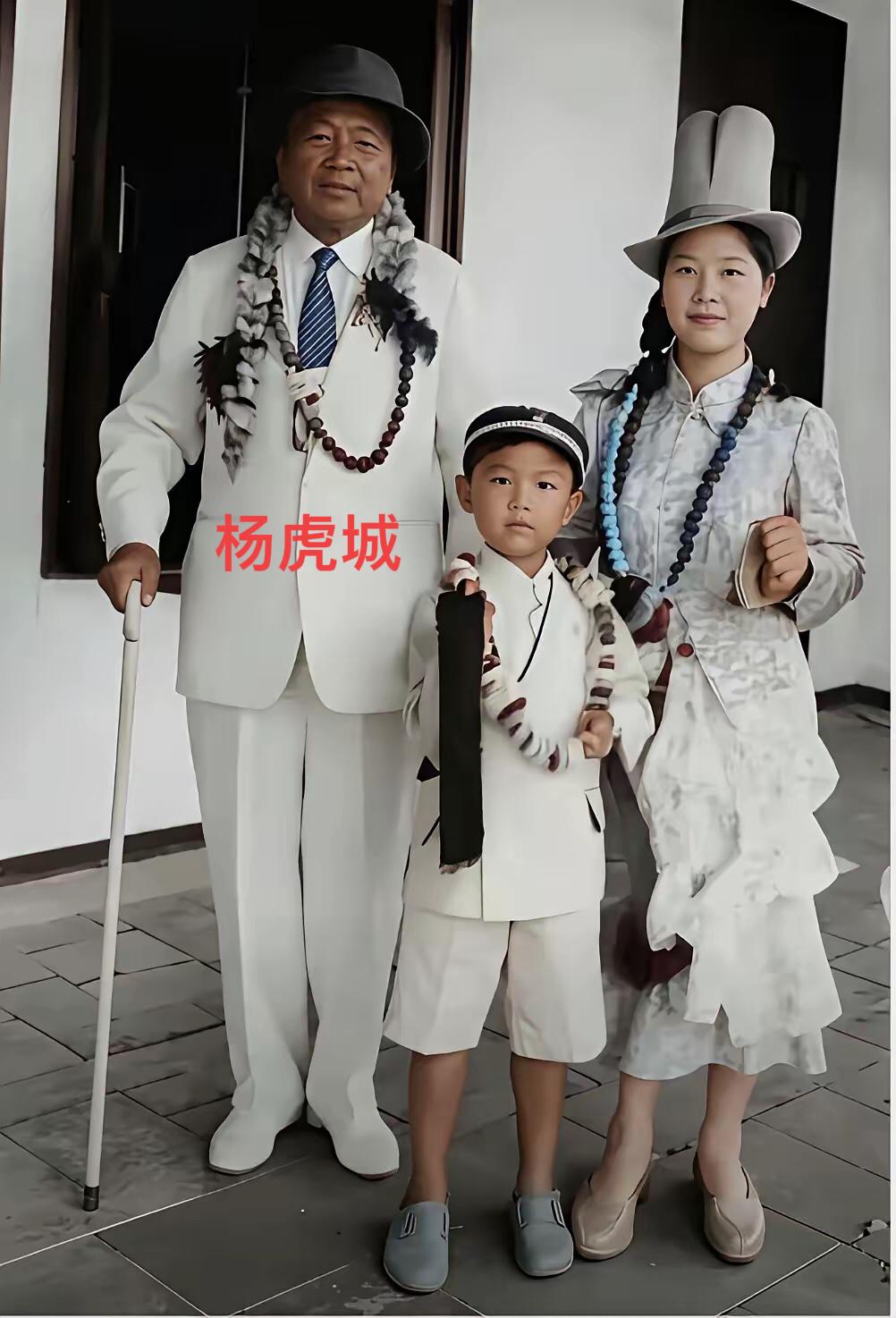 1949年1月，代总统李宗仁下令释放杨虎城。可蒋介石不点头。8月蒋介石下令：大势