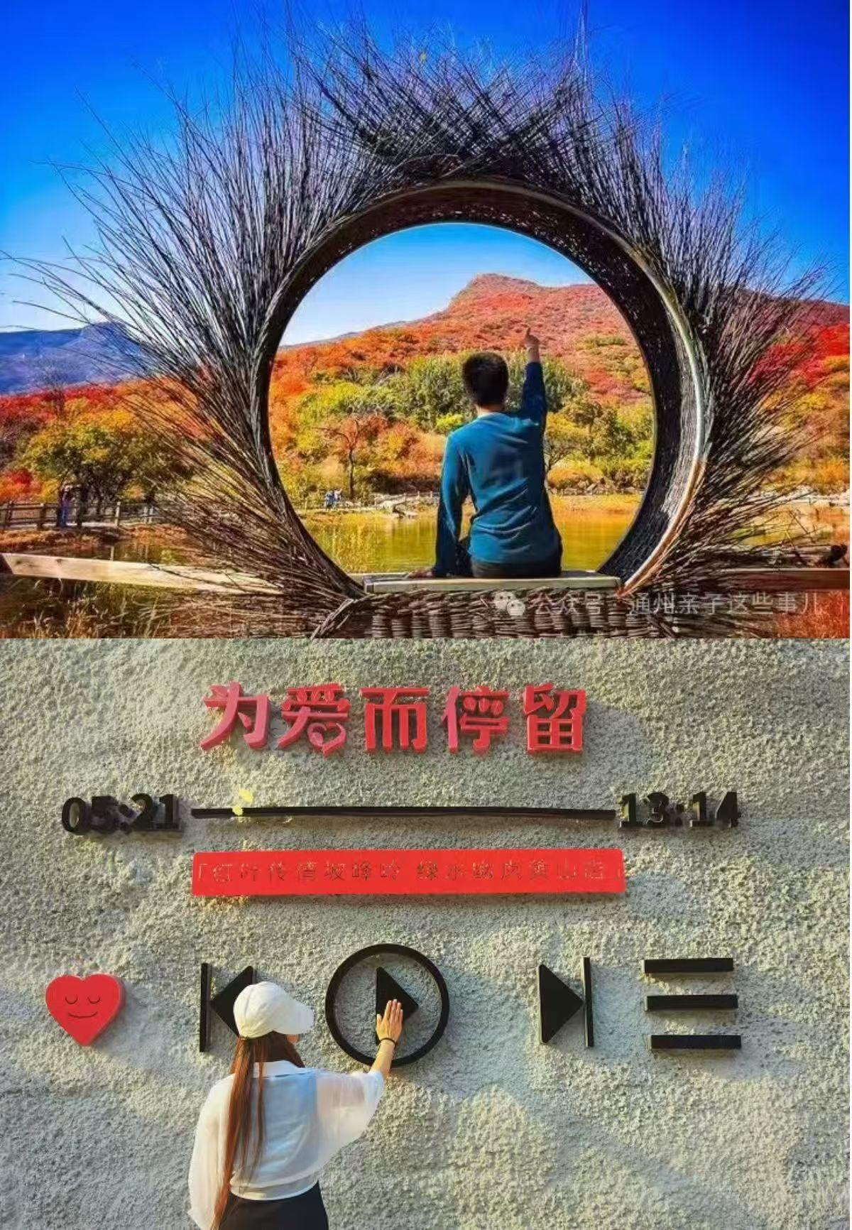 海哈金喜用3年婚姻撕开真相：别信“共患难”的鬼话，婚姻救不了任何人！
35岁的海