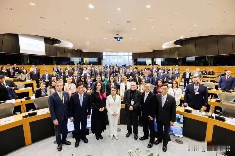 萧美琴跑到欧洲议会尬演，还真有人捧场鼓掌？这场面，尬得人脚趾抠地！说白了，她就是