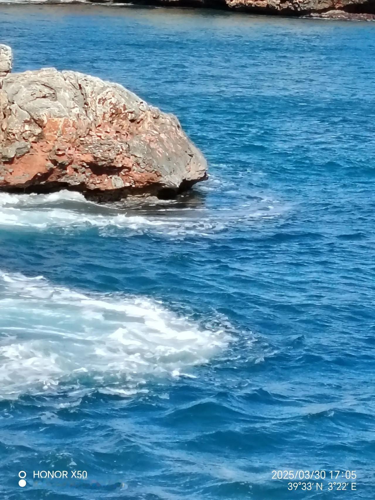 晒图笔记大赛变色龙出海了，不家说象不象？