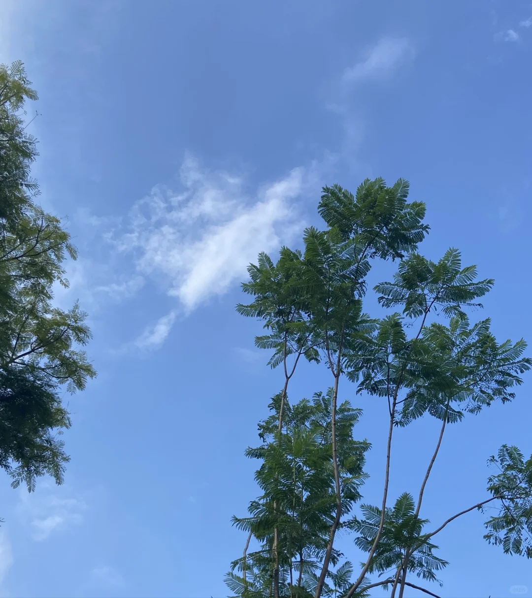 周末去哪儿