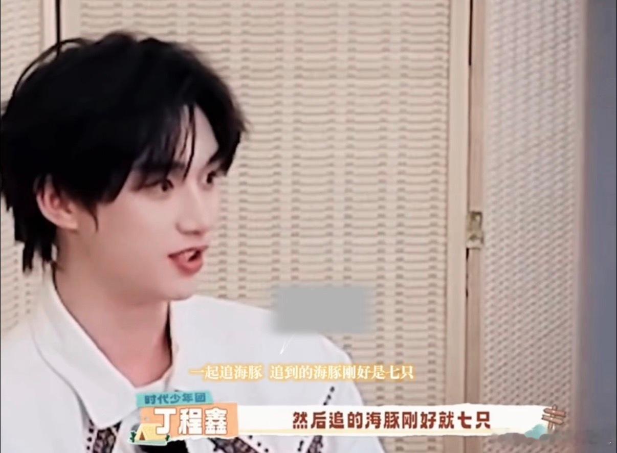 时代少年团非洲追七只海豚 救命！时代少年团非洲追七只海豚的缘分，七人遇七只，团魂