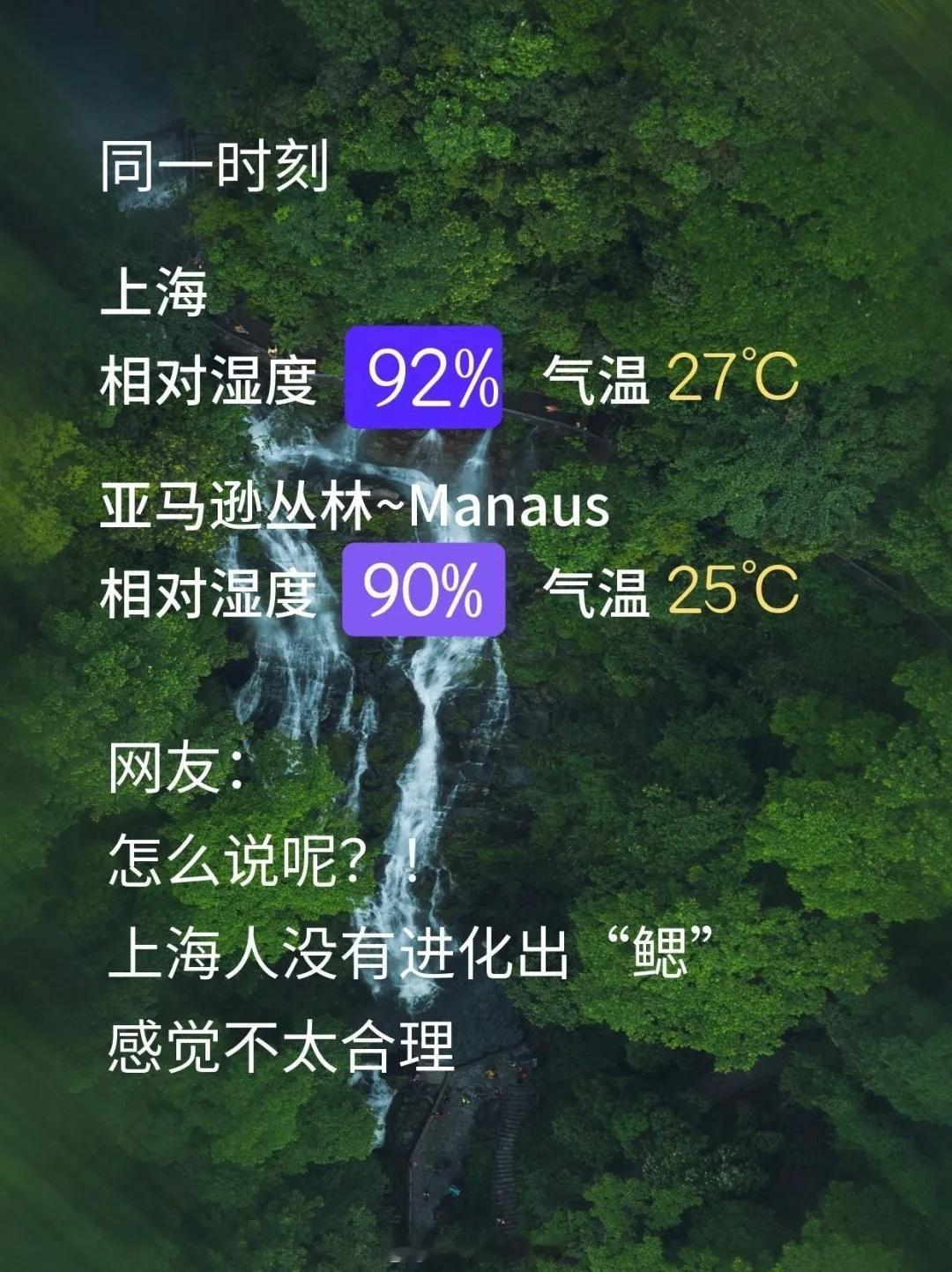 超级湿热来了黄梅天还在路上，上海人已经提前过上了"亚马逊人"的日子。清晨下了场大