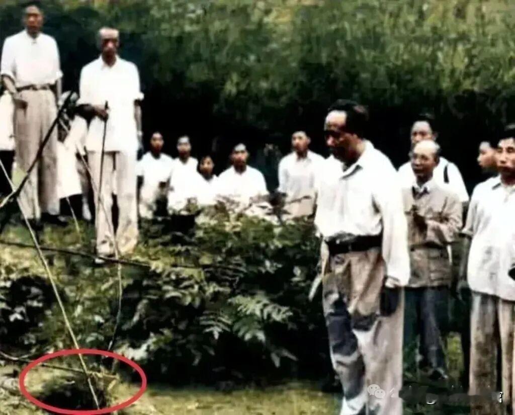 毛主给父母上坟，手里仅有一把松枝，他一个人朝着楠竹山坡走去！