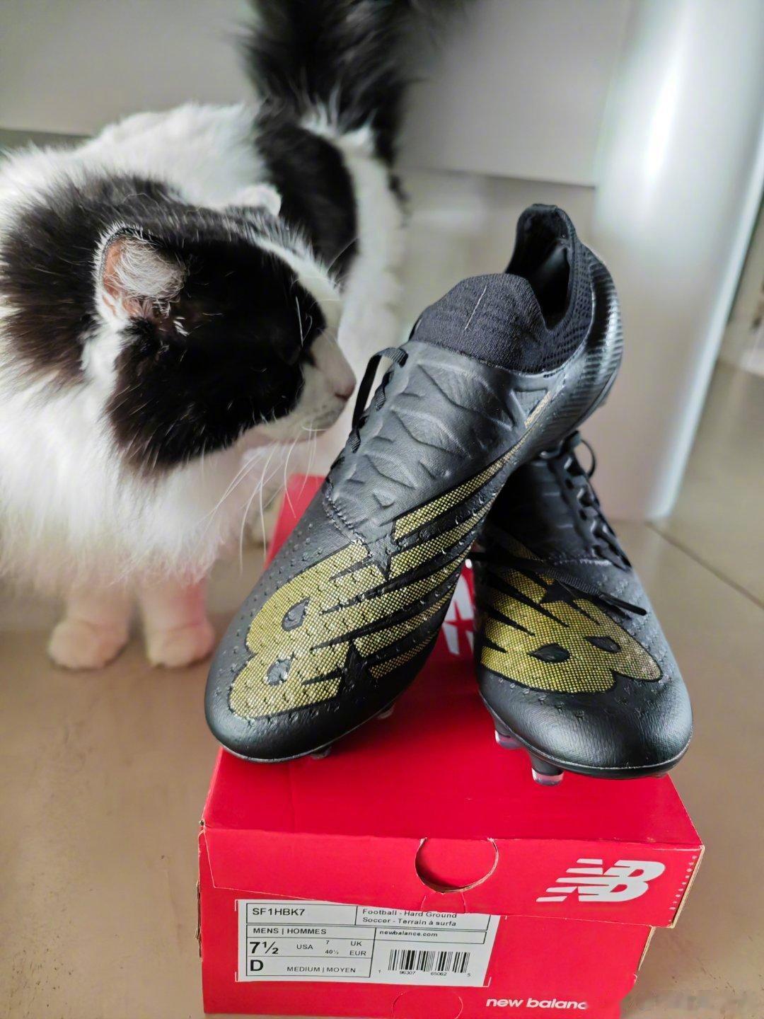 送鞋不送猫啊！尤文门将什琴斯尼、新入选英格兰队的水晶宫边锋艾泽以及萨卡、斯特林、